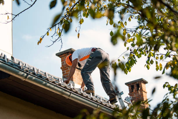 Best Metal Roofing Contractor  in Chamberlayne, VA