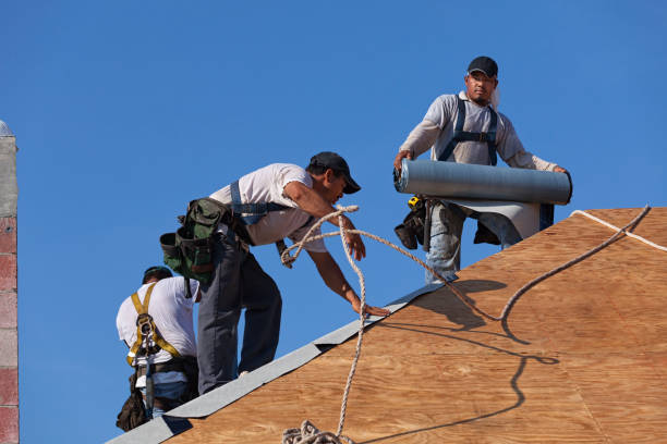 Best Roof Gutter Cleaning  in Chamberlayne, VA