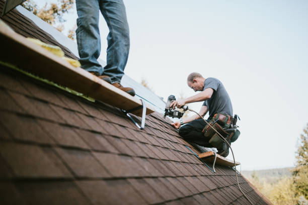 Quick and Trustworthy Emergency Roof Repair Services in Chamberlayne, VA
