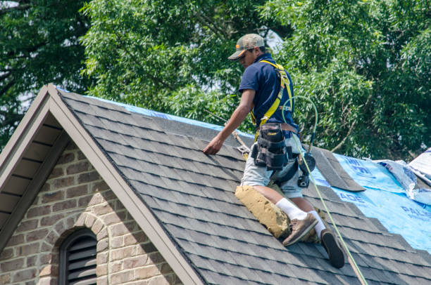 Best Roof Restoration Services  in Chamberlayne, VA